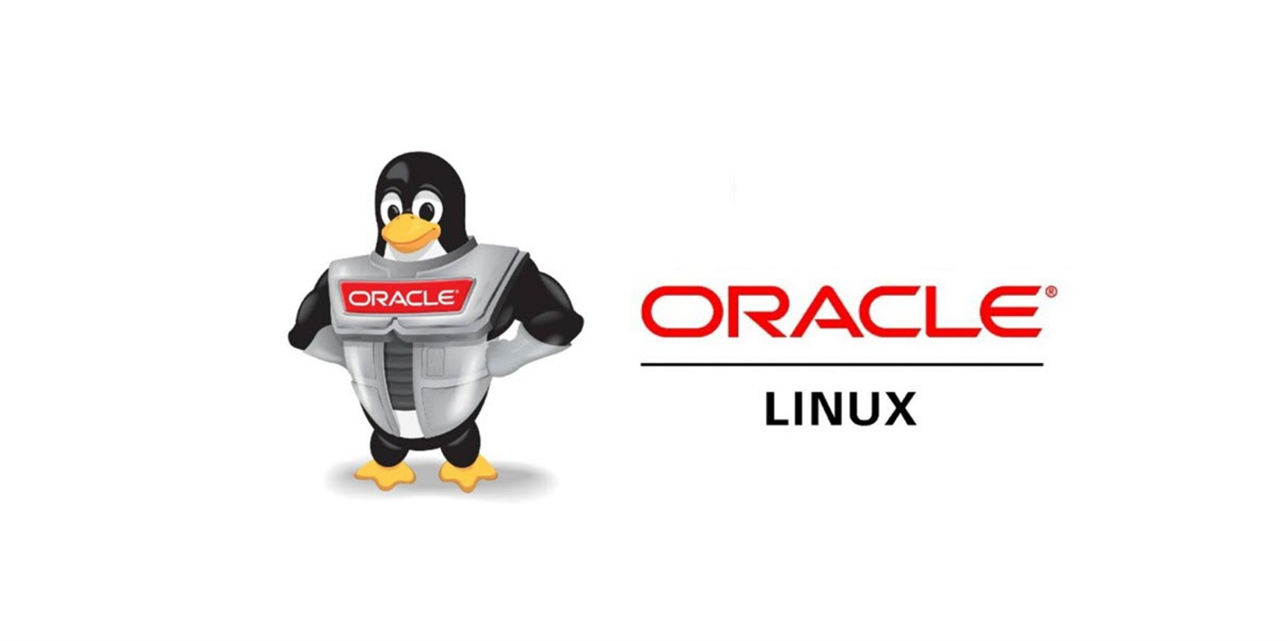 ole_logo